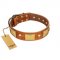 "Mutt The Daredevil" FDT Artisan Tan Leather Dogue de Bordeaux Collar with Old Bronze-like Skulls and Plates