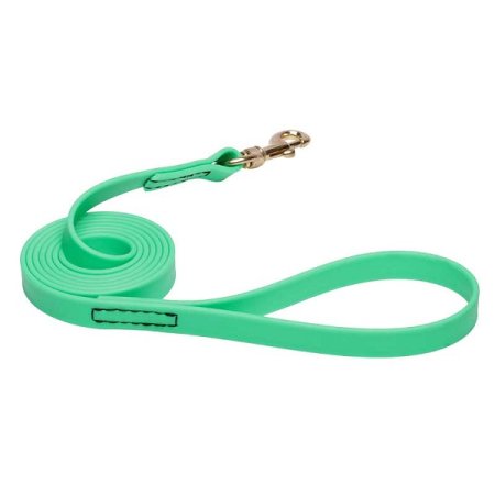 Green Waterproof Dogue de Bordeaux Leash Made of Biothane