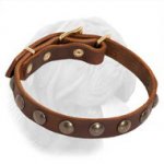 Trendy Dogue de Bordeaux Leather Collar with Brass Adornment