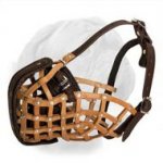 Police Style Leather Muzzle for Dogue de Bordeaux with Front Part Reinforcement