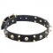 Remarkable Dogue de Bordeaux Leather Collar with Spikes and Skulls