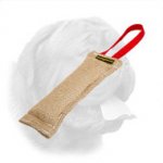 Dependable Jute Bite Tag for Dogue de Bordeaux Puppy Training