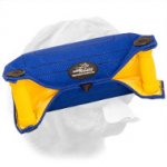 French Linen Dogue de Bordeaux Bite Builder for Puppies