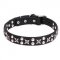 "Planets and Stars" Posh Leather Dogue de Bordeaux Collar with Chrome Plated Fittings