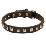 New "Caterpillar" Leather Dogue de Bordeaux Collar