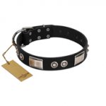 "Grand Wear" FDT Artisan Black Leather Dogue de Bordeaux Collar with Shining Plates and Spiked Studs