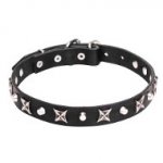 Leather Dogue de Bordeaux Collar with Shiny Nickel Plated Stars and Pyramids