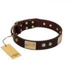 "Middle Age" FDT Artisan Brown Leather Dogue de Bordeaux Collar with Old Bronze-Plated Engraved Flowers and Large Plates