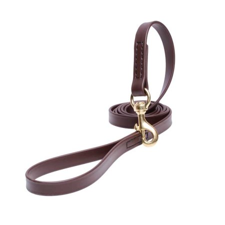 Brown Waterproof Dogue de Bordeaux Leash Made of Biothane