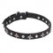Leather Dogue de Bordeaux Collar with Chrome Plated Stars and Studs