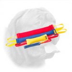 Great French Linen Bite Set for Dogue de Bordeaux