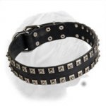 Fashionable Handcrafted Dogue de Bordeaux Collar