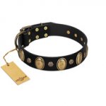 "Gilded Stones" FDT Artisan Black Leather Dogue de Bordeaux Collar with Old Bronze-like Ovals and Studs - 1 1/2 inch (40 mm) wid