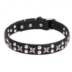 "Planets and Stars" Posh Leather Dogue de Bordeaux Collar with Chrome Plated Fittings