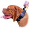 Extra Wide Dogue de Bordeaux Nylon Collar with Comfortable Handle and Specially Constructed Quick Release Buckle