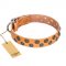 "Precious Sparkle" FDT Artisan Tan Leather Dogue De Bordeaux Collar with Vintage Round Plates