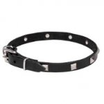 Incredible Dogue de Bordeaux Leather Collar with Chrome Plated Pyramids