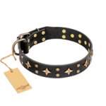 'A La Mode' FDT Artisan Handcrafted Black Leather Dogue de Bordeaux Collar