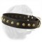 Beautiful Wide Leather Dog Collar With Brass Conoid Studs