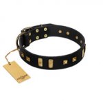"Fit for Royalty" FDT Artisan Black Leather Dogue de Bordeaux Collar with Plates and Small Square Studs