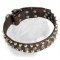 Fabulous Dogue de Bordeaux Decorated Leather Collar