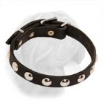 Splendid Dogue de Bordeaux Leather Collar with Nickel Studs