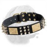 Adjustable Dogue de Bordeaux Collar with Riveted Hardware
