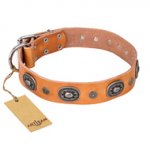 "Twinkle Twinkle" FDT Artisan Incredible Studded Tan Leather Dogue de Bordeaux Collar