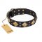 "Fancy-Schmancy" FDT Artisan Studded Leather Dogue de Bordeaux Collar