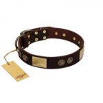 "Bow-Wow Effect" FDT Artisan Brown Leather Dogue de Bordeaux Collar with Plates and Ornate Studs