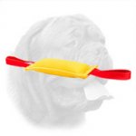 Sturdy French Linen Bite Tug for Dogue de Bordeaux Puppies