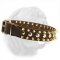 Leather Spiked & Studded Collar for Dogue de Bordeaux