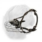 Everyday Wire Cage Muzzle for Dogue de Bordeaux