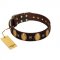"Crystal Mirror" FDT Artisan Handmade Brown Leather Dogue de Bordeaux Collar - 1 1/2 inch (40 mm) Wide