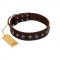"Boundless Energy" Premium Quality FDT Artisan Brown Designer Leather Dogue de Bordeaux Collar with Small Pyramids