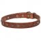 'Interstellar' Narrow Leather Dogue de Bordeaux Collar