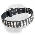 Leather Dogue de Bordeaux Collar with Steel Pyramids
