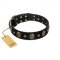 Pirate's Spell' FDT Artisan Black Leather Dogue de Bordeaux Collar with Engraved Studs and Medallions