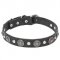 Leather Dogue de Bordeaux Collar with Silver-Like Conchos and Half-Ball Studs