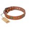 "Stunning Dress" FDT Artisan Tan Leather Dogue de Bordeaux Collar with Old Bronze Look Plates and Studs