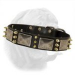Phenomenal War Dogue de Bordeaux Leather Dog Collar