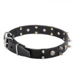 Dogue de Bordeaux Collar with Skulls and 2 Rows of Spikes