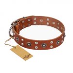 "Silver Elegance" FDT Artisan Decorated Leather Dogue de Bordeaux Collar with Old Silver-Like Plated Studs and Cones
