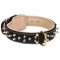 Amazing Spiked Leather Collar for Dogue de Bordeaux