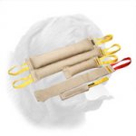 Superior Jute Training Set for Dogue de Bordeaux