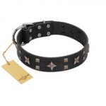 "Star Excitement" Modern FDT Artisan Black Leather Dogue de Bordeaux Collar with Studs and Stars