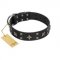 "Star Excitement" Modern FDT Artisan Black Leather Dogue de Bordeaux Collar with Studs and Stars