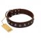 "Dark Chocolate" Handmade FDT Artisan Brown Leather Dogue de Bordeaux Collar with Studs