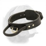 2 ply leather agitation dog collar with handle