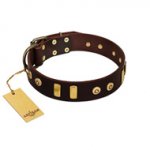 "Lord of Dogs" FDT Artisan Brown Leather Dogue de Bordeaux Collar with Old Bronze-like Dotted Studs and Tiles
